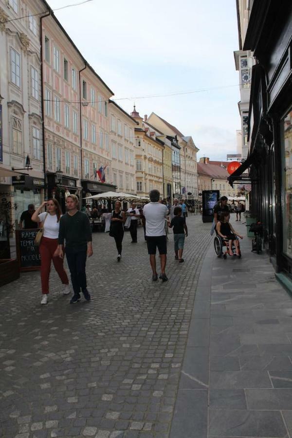 Lovely Old City-Center Apartment Любляна Екстер'єр фото