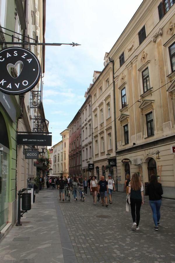 Lovely Old City-Center Apartment Любляна Екстер'єр фото